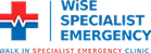 wise-specialist-logo 1